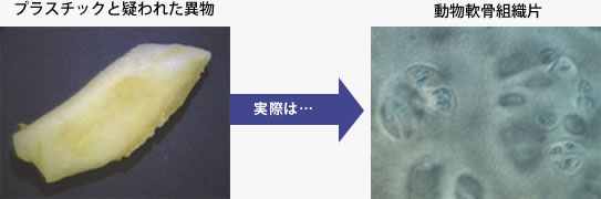 プラスチックと疑われた異物事例画像