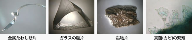 身体的被害を招く恐れのある異物事例画像